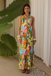 Arli Maxi Dress Etallia Multi