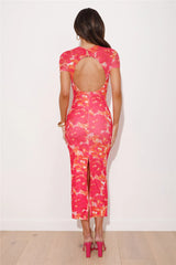 Girl Is Bright Mesh Maxi Dress Pink