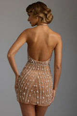 Hand Embellished Sheer Mini Dress In Almond
