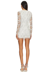 Nia Sequin Fringe Dress
