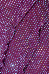 Embellished Ruffle Mini Dress in Plum